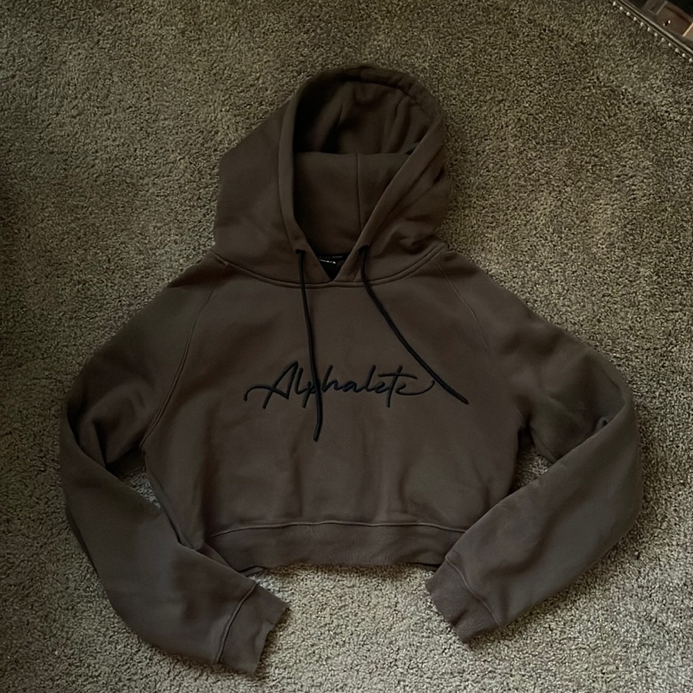 Alphalete Cropped Hoodie